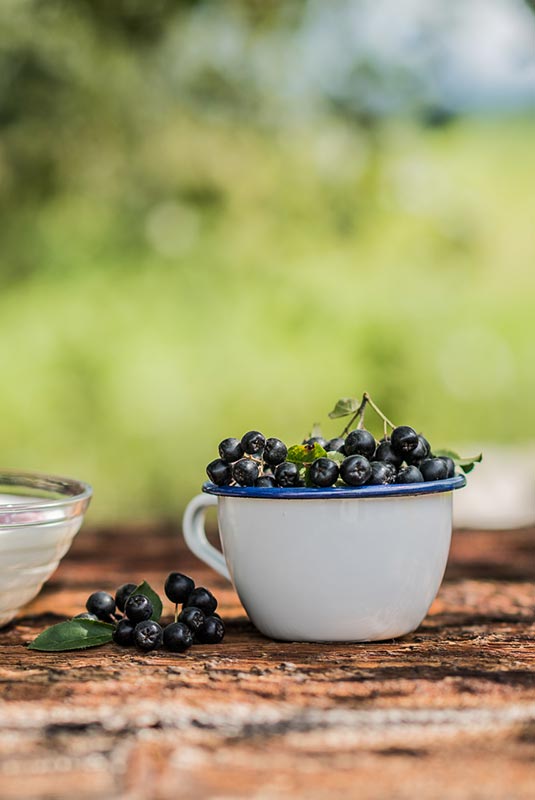 Der Beerenhof in Niederdorf