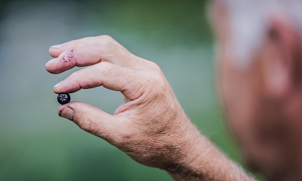 Familienporträt & Philosophie