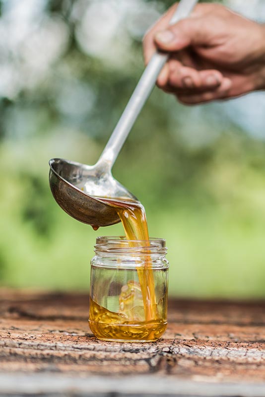 Rudi der Beerenflüsterer