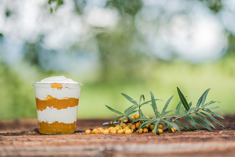 Erfrischendes Joghurt mit Fruchtaufstrich